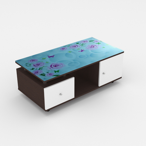 SCT 315 Coffee Table